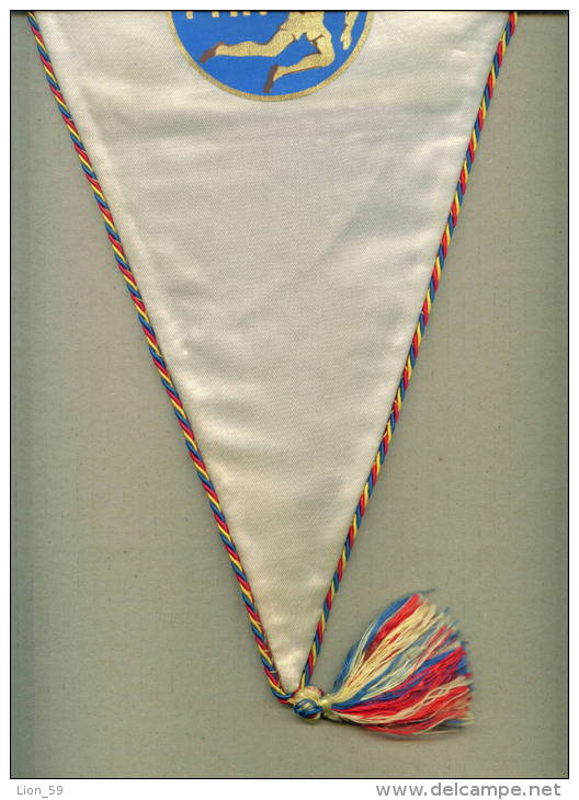 W178 / SPORT - FEDERATIA ROMANIA ( FRH ) Handball Hand-Ball  Balonmano  32 X 45 Cm. Wimpel Fanion Flag - Rumanien - Handball