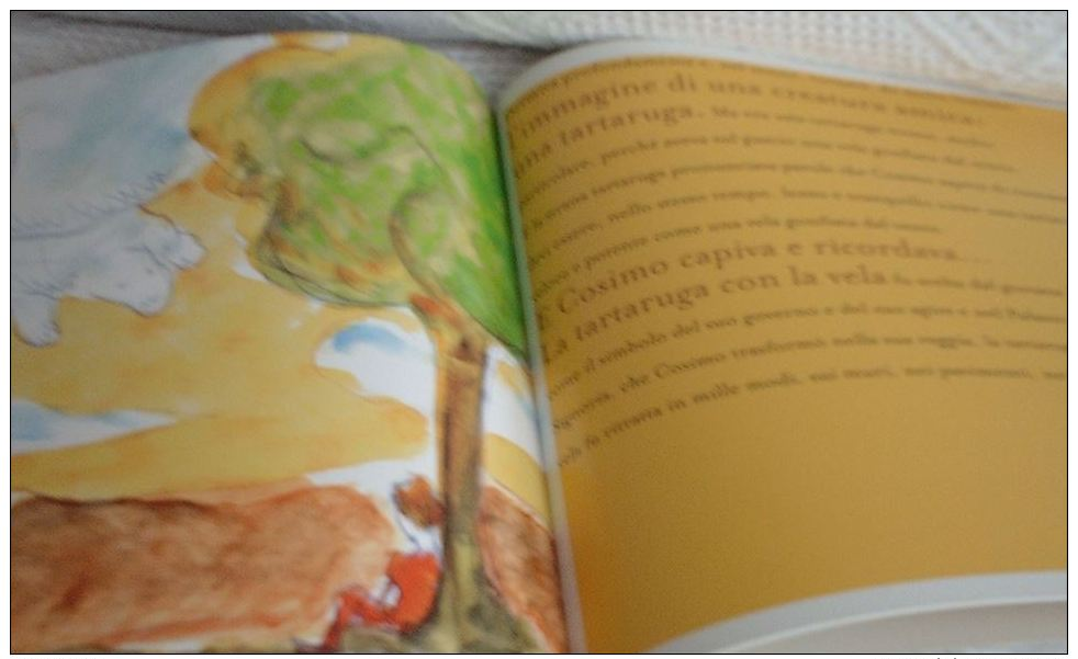 Favola della tartaruga con la vela - Un libro per condurre i bambini alla scoperta dell ´arte in Palazzo Vecchio Firenze