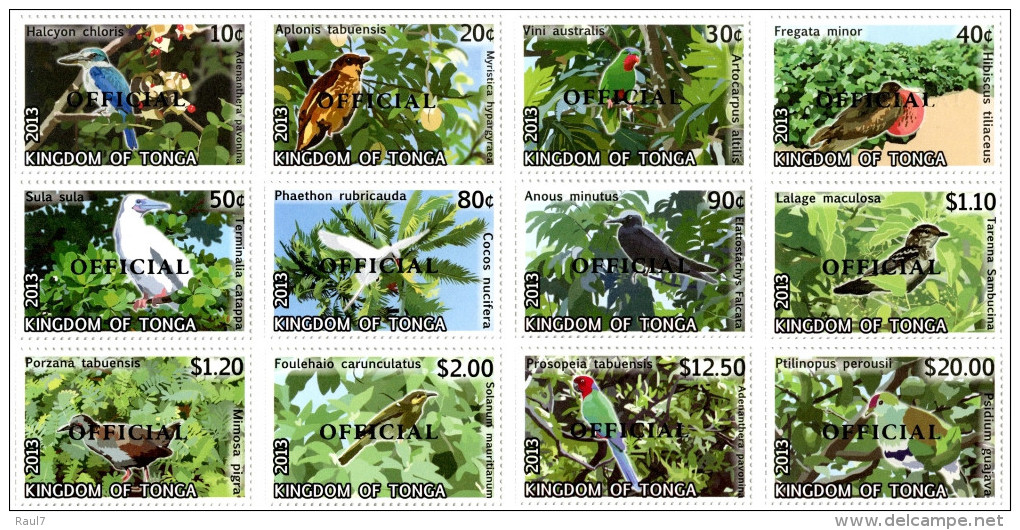 TONGA - 2014 - Oiseaux II, Série Courante Surchargé OFFICIAL - 12 Val Neufs // Mnh - Tonga (1970-...)