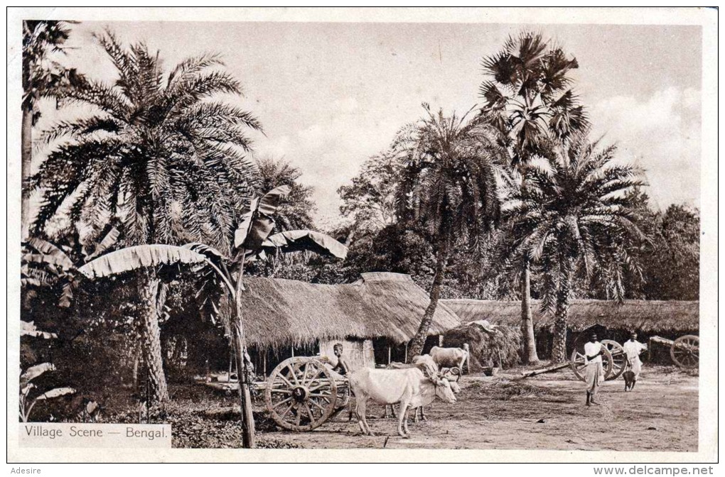 BENGAL Bangladesch Village Scene Ochsenkarren 1920? - Bangladesh