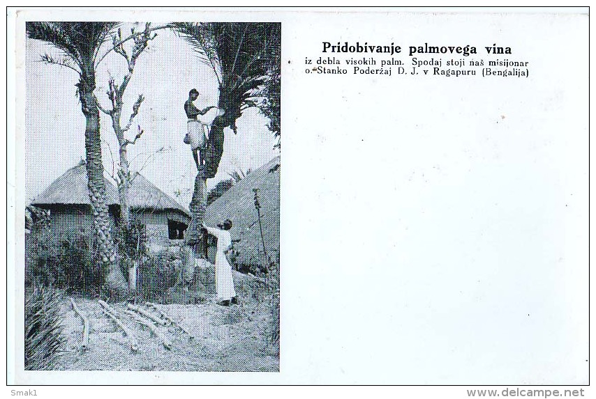 AK MISSIONEN SLOWENIEN BENGALSKA MISIJA Bengali MISSION INDIEN INDIA ERLANGEN Palmwein ALTE POSTKARTEN - Missionen