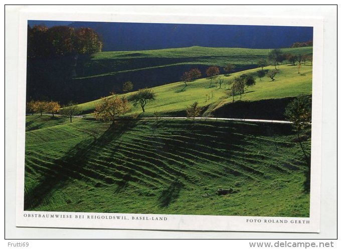 SWITZERLAND - AK 200152 Basel-Land - Obstbaumwiese Bei Reigoldswil - Reigoldswil