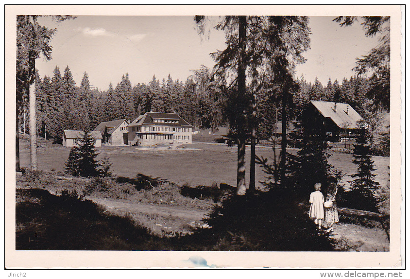 AK Kurhaus Kaltenbronn Nördlicher Schwarzwald - 1952 (5213) - Gernsbach