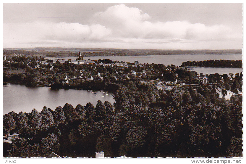 AK Plön Am See - Blick V. Parnass - 1958 (5221) - Plön