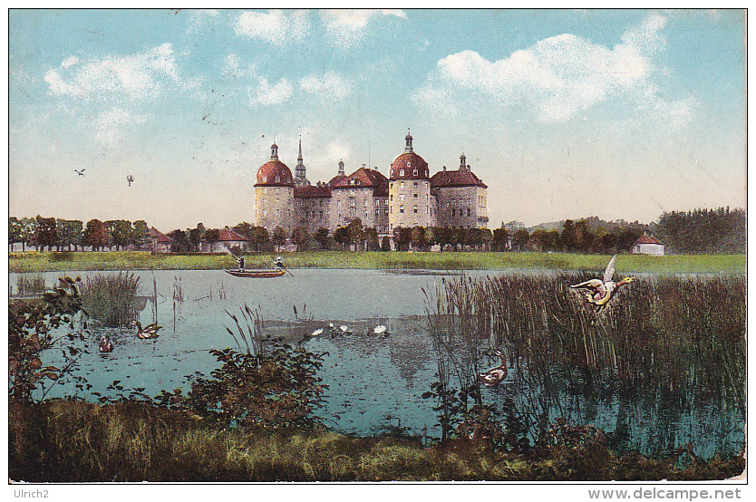 AK Schloss Moritzburg - Entenjagd - 1921 (5258) - Moritzburg