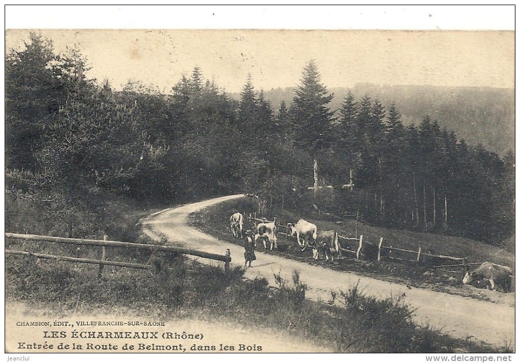 -LES ECHARMEAUX--ENTREE DE LA ROUTE DE BELMONT DANS LES BOIS--TRES ANIMEE--TIMBRE DECOLLE AU VERSO--1925-- - Autres & Non Classés