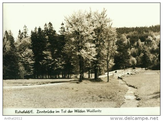 Rehefeld Zinnbrücke Im Tal Der Wilden Weißeritz Photo Eulitz Sw 60er Handabzug - Rehefeld