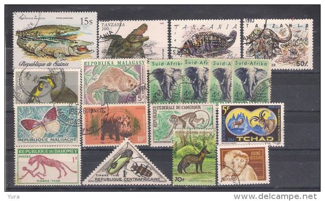 Lot 165 Africa Little Collection Fauna 2 Scans 55 Different - Andere & Zonder Classificatie