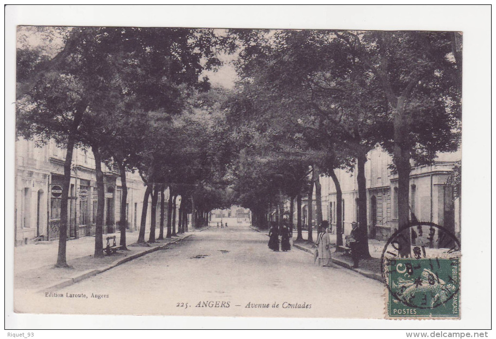 225 - ANGERS - Avenue De Contades - Angers