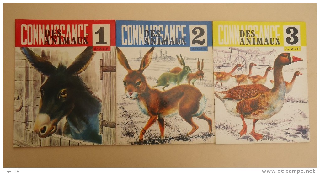 ENFANTINA - Editions Touret - Connaissance Des Animaux No 1, 2, 3. -1974 - 0-6 Años