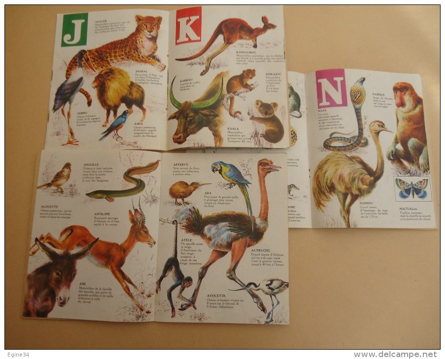 ENFANTINA - Editions Touret - Connaissance Des Animaux No 1, 2, 3. -1974 - 0-6 Años