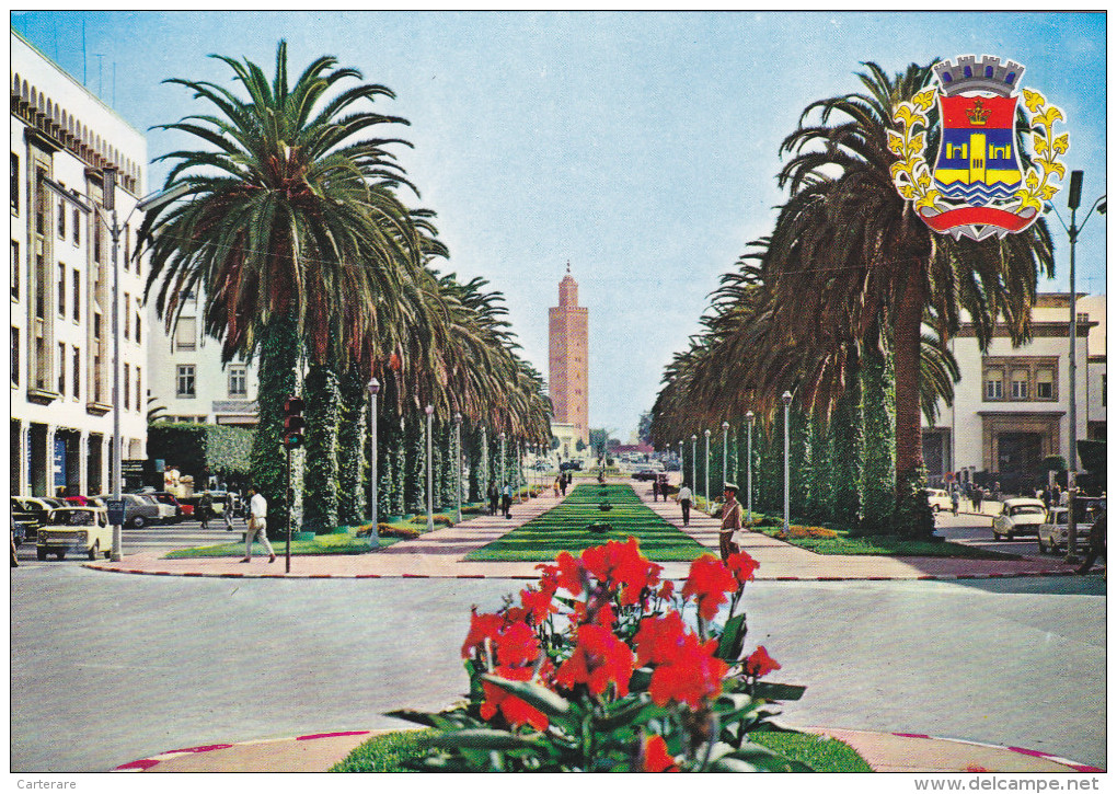 AFRIQIE,AFRICA,MAROC,MOROCCO,RABAT,avenue MOHAMMED 5,fleurs Rouge - Rabat