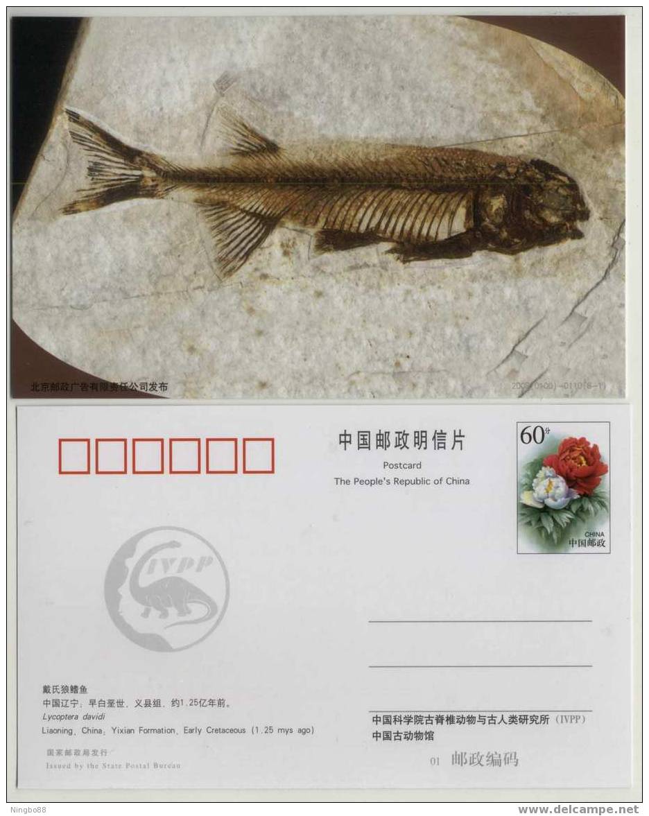 Lycoptera Davidi Fish Fossil,Live With Dinosaur In Early Cretaceous Period,CN 03 IVPP Advert Pre-stamped Card - Fossils