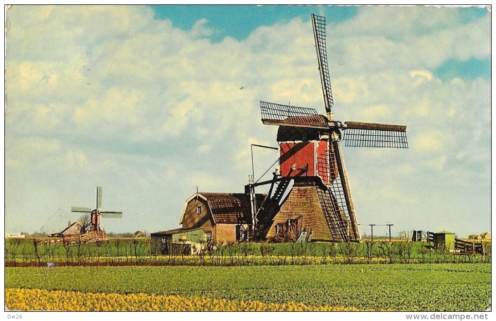 Nederland - Pays-Bas - Hollandse Molen - Moulin à Vent - Molinos De Viento