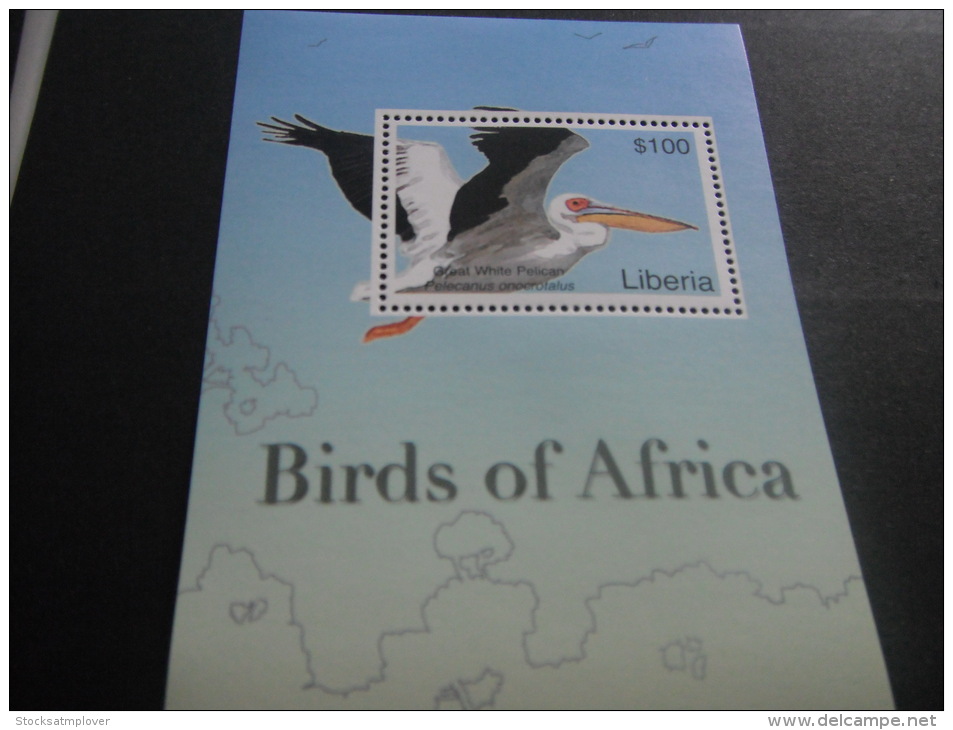 Liberia-Birds - Otros & Sin Clasificación