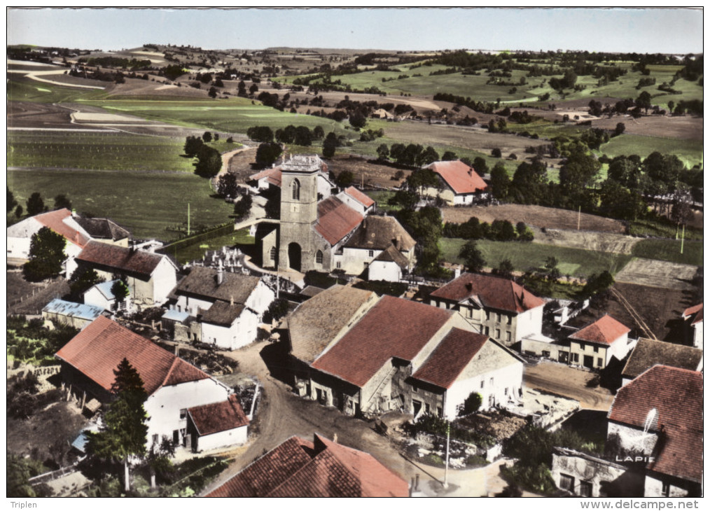 Mièges - Vue Générale Au Fond à Droite "l'Ermitage" - Autres & Non Classés