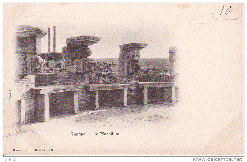 CPA Timgad - Le Macellum - 1903 (5361) - Batna