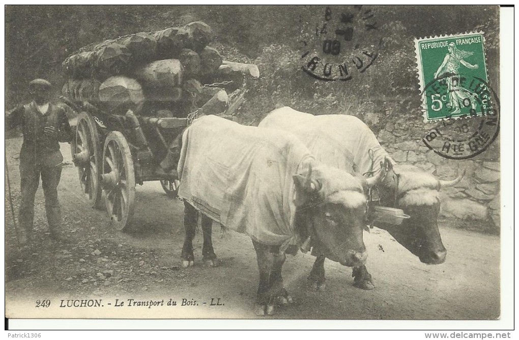 CPA  LUCHON, Le Transport Du Bois 10207 - Equipaggiamenti