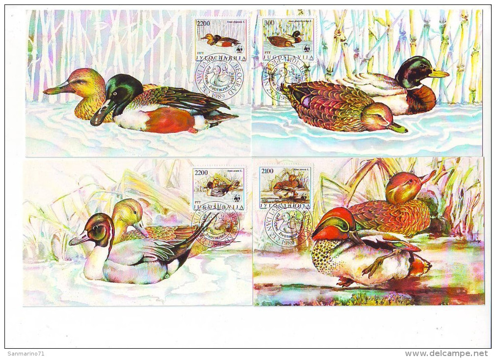 YUGOSLAVIA MAXIMUM CARD 2328-2331,ducks - Cartes-maximum