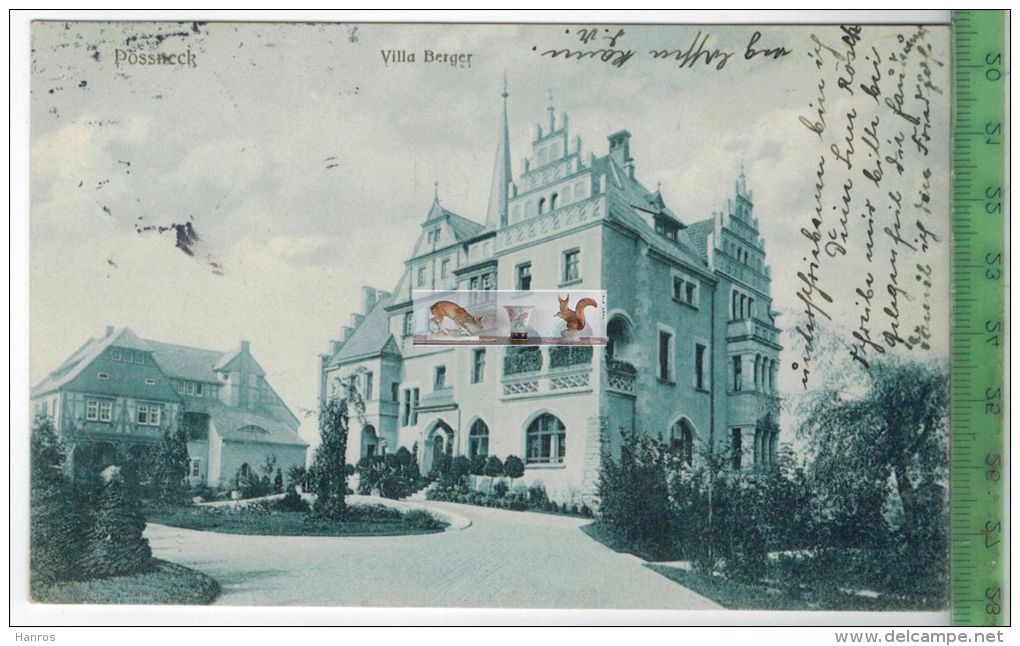 Pössneck, Villa Berger - 1914, Verlag: Franz Schwenke, Pössneck, POSTKARTE Mit Frankatur, Mit Stempel PÖßNECK - Poessneck