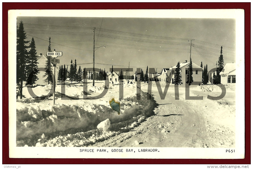 CANADA - LABRADOR - GOOSE BAY - SPRUCE PARK - 1940 REAL PHOTO PC - Other & Unclassified