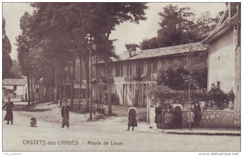 France - Landes - CASTETS DES LANDES - Route De Linxe - Carte Postale 40 - CPA   // - Castets