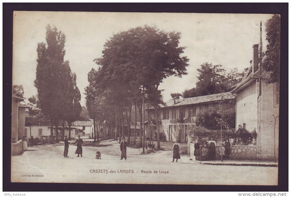 France - Landes - CASTETS DES LANDES - Route De Linxe - Carte Postale 40 - CPA   // - Castets