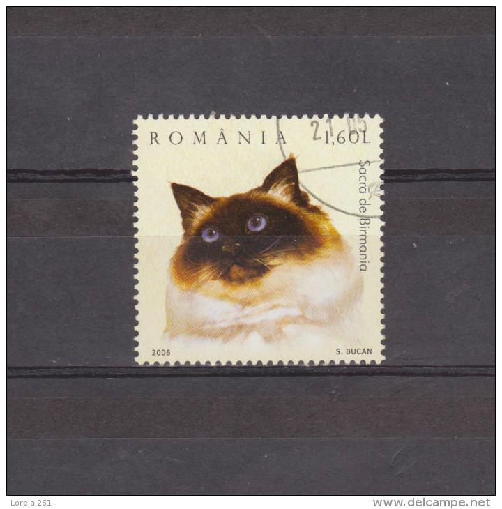 2006 - Chats Domestiques Mi No 6027 A  Et Yv No 5060  Sacré De Birmanie - Used Stamps