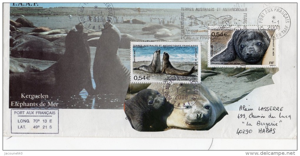 Taaf Kerguelen Port Aux Français Enveloppe Maximum Avec Variété Du Timbre 2008 Voir Sur Les N°508 Et 509 - Faune Antarctique