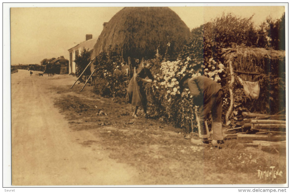 VENDEE - Entre St GILLES CROIX DE VIE Et ST JEAN De MONTS . Editions D´Art Raymond Bergevin La Rochelle N°5429 - Boerderijen