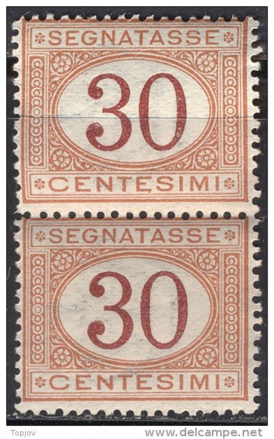 ITALIA  - REGNO SEGNATASSE 30 C OCRE E CARMINO - PAIR  -  **MNH -  1870-1874 - Postage Due