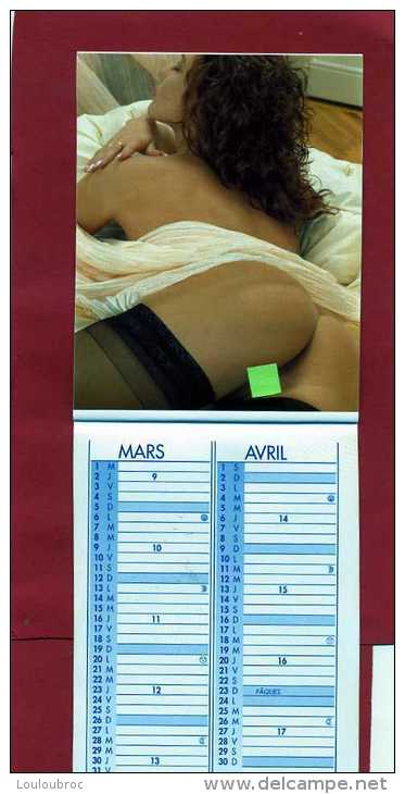 CALENDRIER ANNEE 2000 FEMMES NUES LES SEXES ONT  ETE CACHES POUR LE SCAN VOIR TOUS LES SCANS - Petit Format : 1991-00