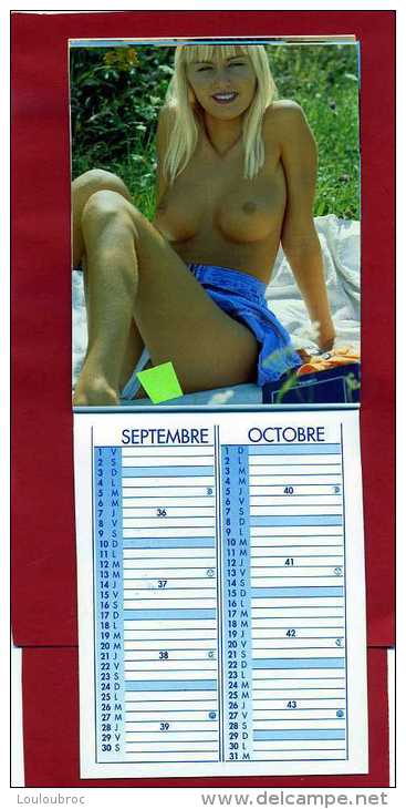 CALENDRIER ANNEE 2000 FEMMES NUES LES SEXES ONT  ETE CACHES POUR LE SCAN VOIR TOUS LES SCANS - Formato Piccolo : 1991-00