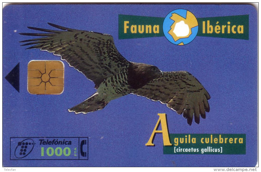 ESPAGNE SPAIN FAUNA IBERICA AGUILA CULEBRERA  1000 PTAS UT D + 8 N° - Eagles & Birds Of Prey