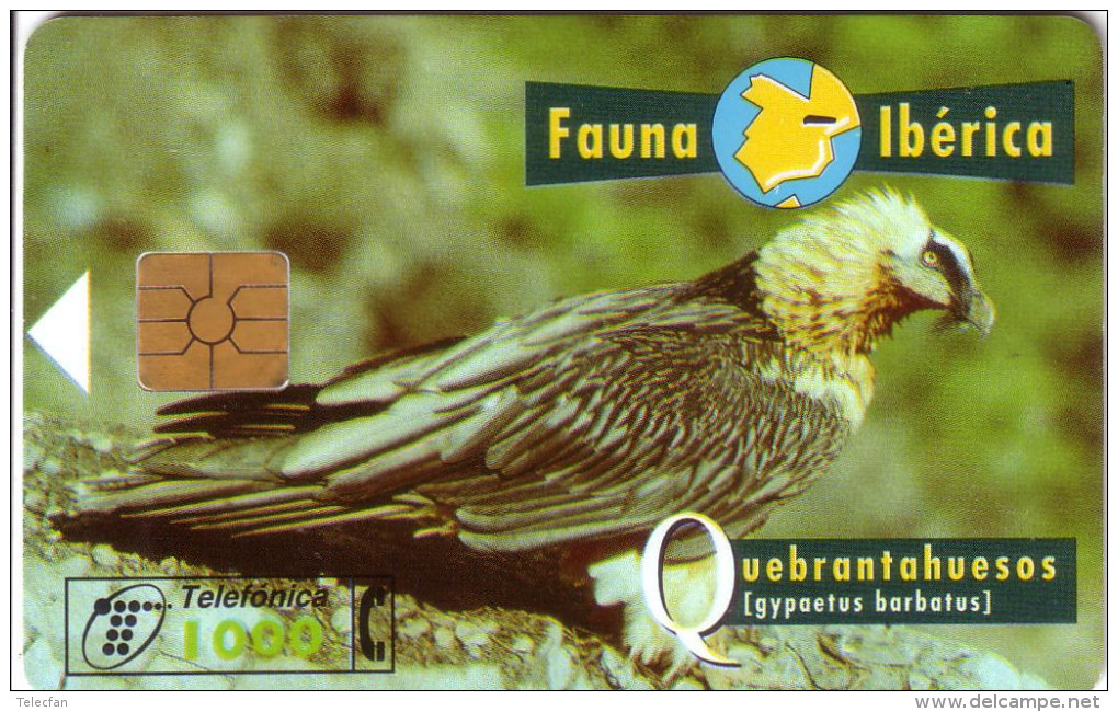 ESPAGNE SPAIN FAUNA IBERICA QUEBRANTAHUESOS GEM2   1000 PTAS UT B + 9 N° - Aquile & Rapaci Diurni