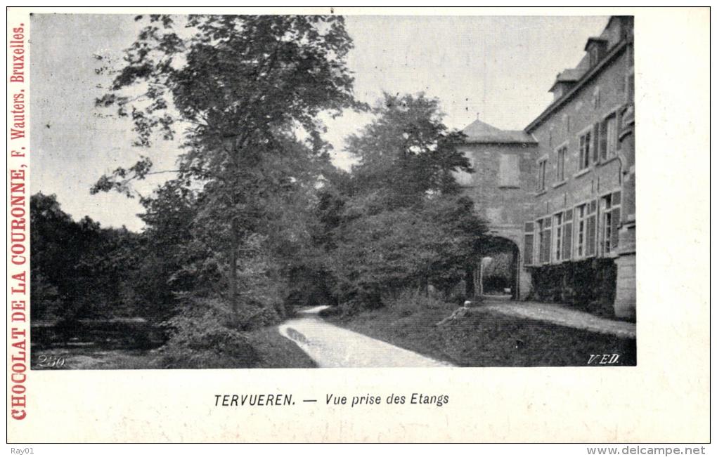 BELGIQUE - BRABANT FLAMAND - TERVUEREN - TERVUREN - Vue Prise Des Etangs. - Tervuren