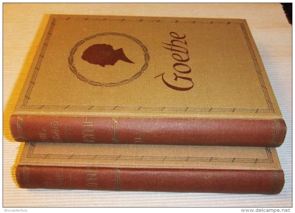 GOETHE LA VIDA DE UN HOMBRE DE EMIL LUDWIG 1ª EDICION 1932 ED. JUVENTUD - Goethe First Edition - Biografie