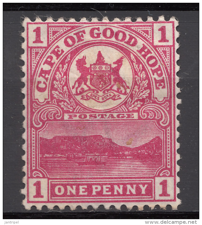 CAPE  1893    1  P     MH - Cape Of Good Hope (1853-1904)