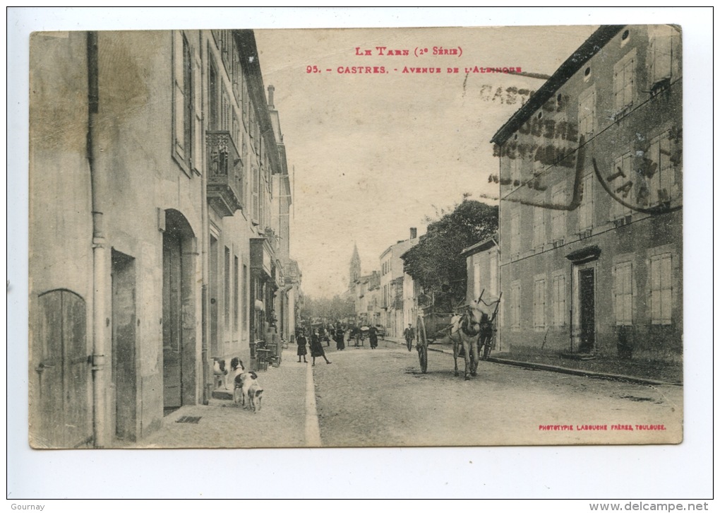 Le Tarn (2è Série) Castres - Avenue De L´Albingue N°95 Phototypie Labouche Frères - Castres