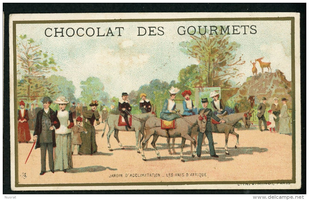 Chocolat Des Gourmets, Chromo Lith. J. Minot VM3-55, Jardin D'acclimatation, Les ânes D'Afrique - Autres & Non Classés