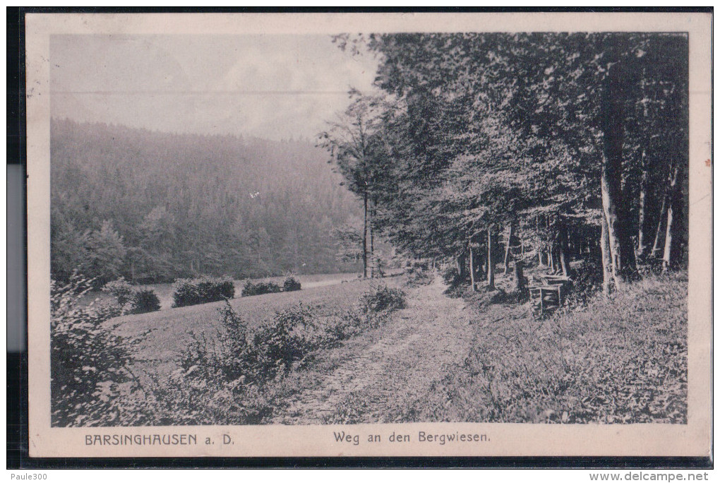 Barsinghausen - Weg An Den Bergwiesen - Barsinghausen