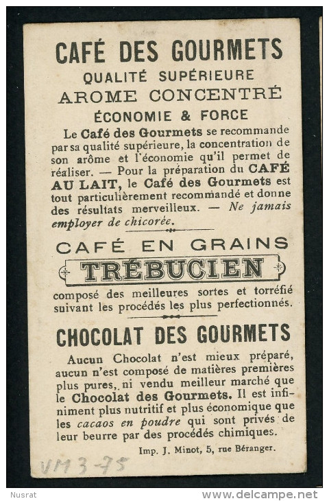 Café En Grains Trébucien, Chromo Lith. J. Minot VM3-75, Thème Enfants, Pêche, Jeux, Canard, étang, Un Futur Amiral - Tea & Coffee Manufacturers