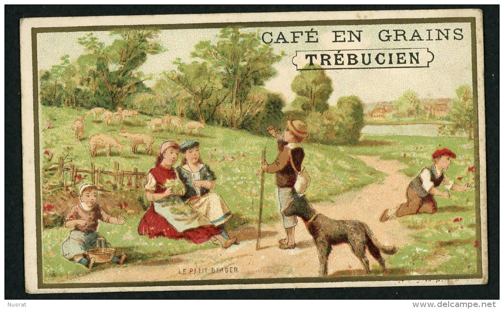 Café En Grains Trébucien, Chromo Lith. J. Minot VM3-75, Thème Enfants, Chien, Moutons, Le Petit Berger - Thé & Café