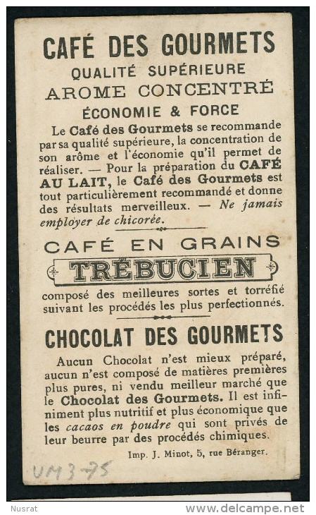 Café En Grains Trébucien, Chromo Lith. J. Minot VM3-75, Thème Enfants, Chien, Moutons, Le Petit Berger - Thé & Café