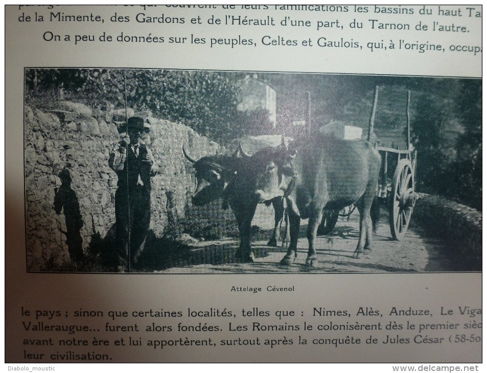 1925  CAUSSES-CEVENNES et GORGES du TARN (La Couvertoirade,Meyrueis,Bl andas,Ispagnac,Mende,Cast elbouc,Millau,La Caze e