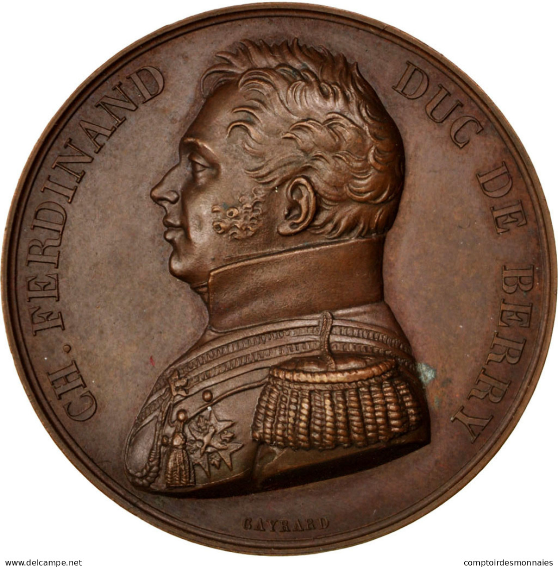 France, Medal, Louis XVIII, History, 1829, Gayrard, SUP, Bronze - Autres & Non Classés