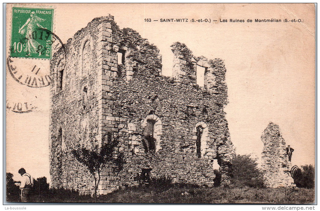 95 SAINT WITZ - Les Ruines De Montmélian - Saint-Witz