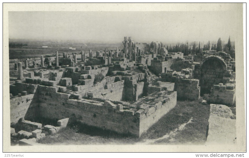 CP Algérie Tébessa Vue Générale De La Basilique - Tebessa