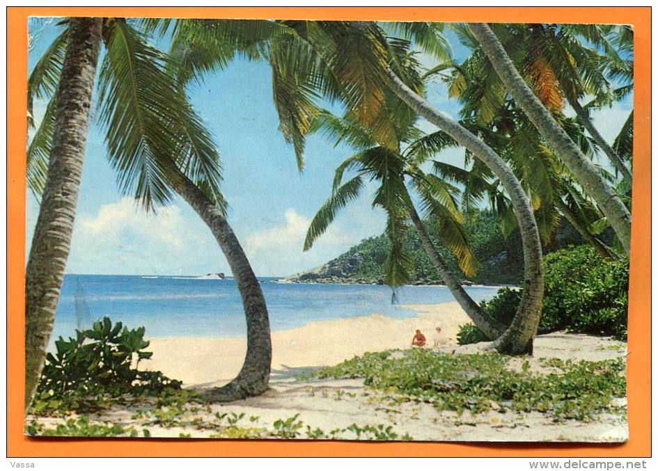 SEYCHELLES - .Anse Intendance - PC  Franked With Stamp Bird - Seychelles