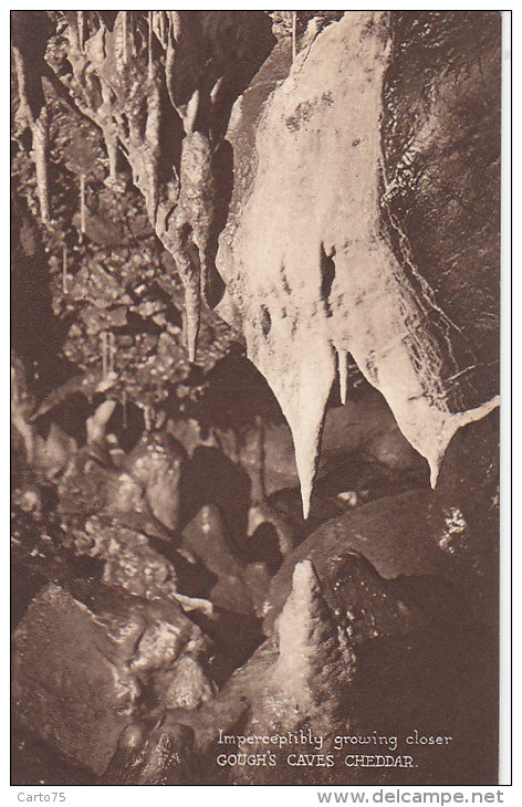 Royaume-Uni - Cheddar - Grottes - Formation Stalagmite - Cheddar